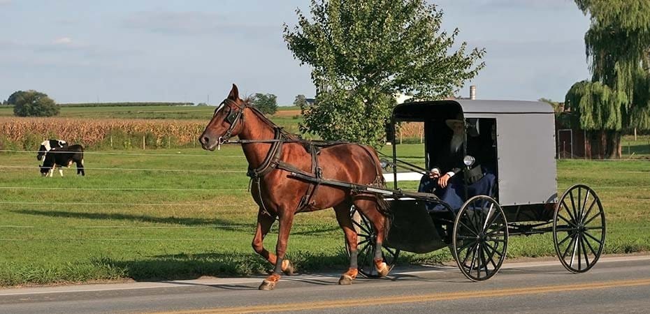 Born Again: 37 Years of Darkness Among the Amish