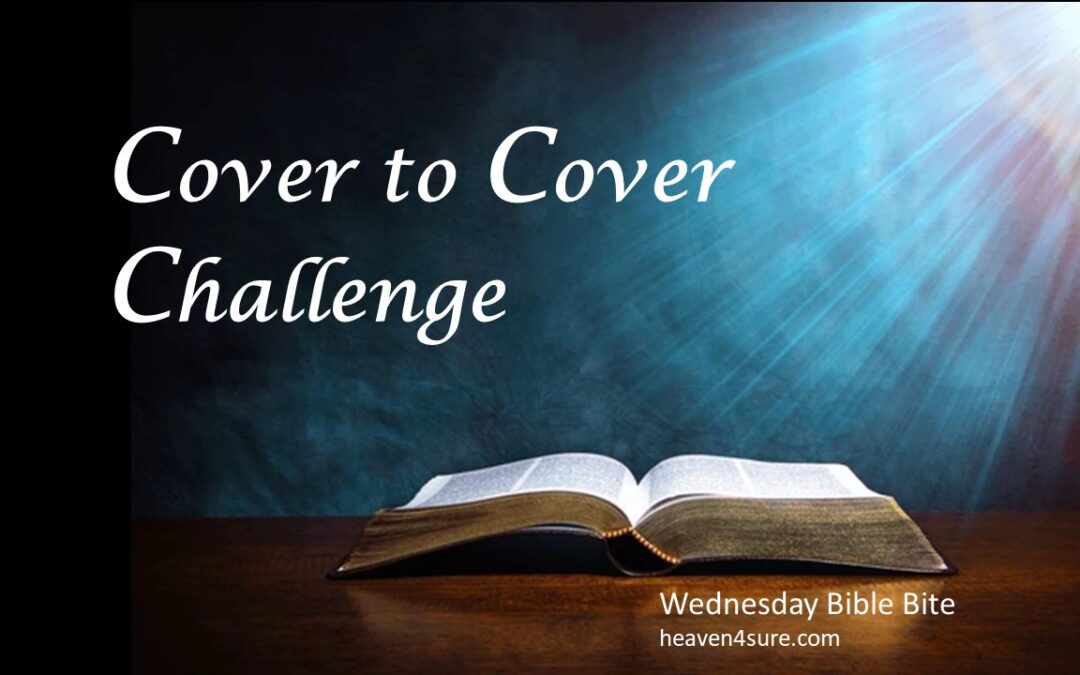 Cover to Cover — Beginning to End: Take the Challenge!