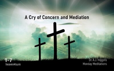 From the Cross: A Cry of Concern and Mediation 1-7