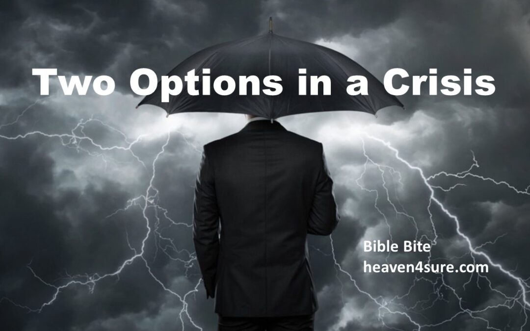 Two Options in a Crisis