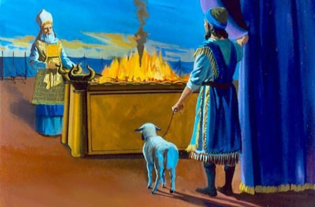 A Contrast in Offerors