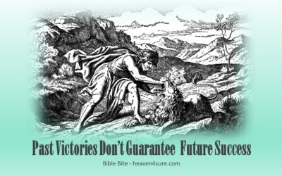 Past Victories Don’t Guarantee Future Success