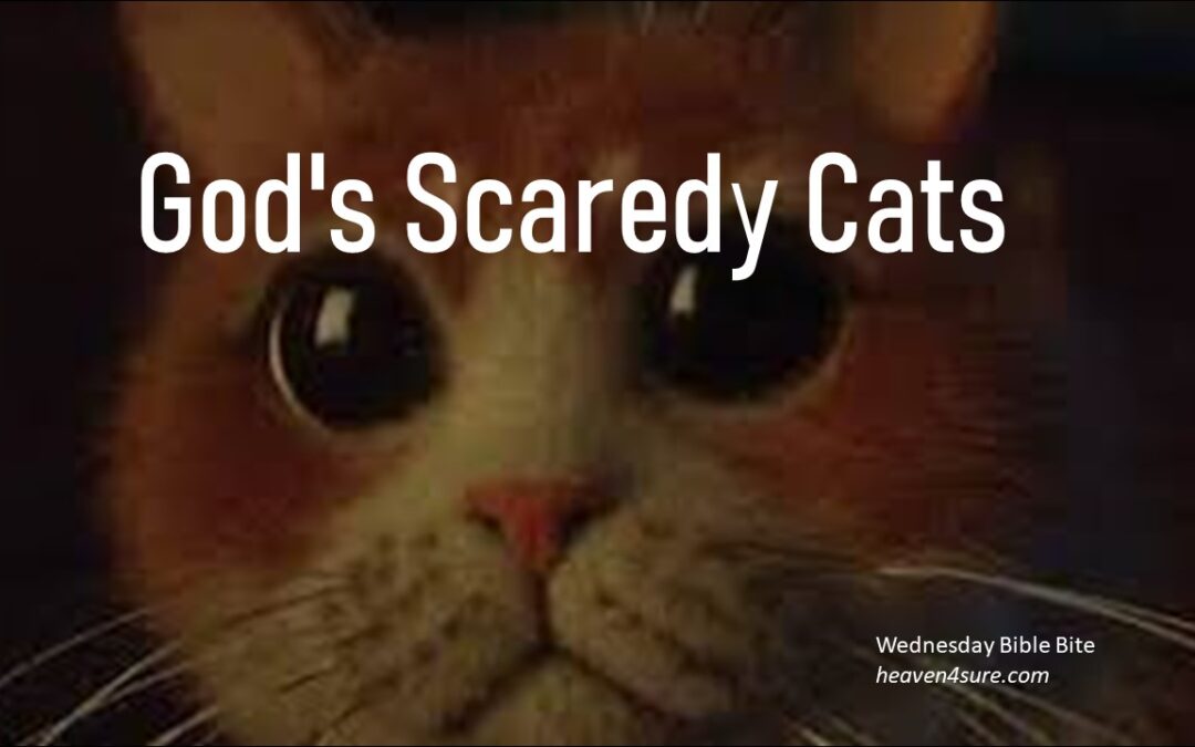 God’s Scaredy Cats