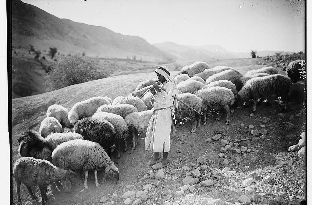Shepherding — Who Is Missing?