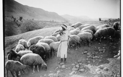Shepherding — Who Is Missing?