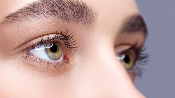 A focus on eyes to illustrate spiritual eyesight and how the Bible is a reliable diagnostic tool to spiritually determine how clearly we see what is important to God.