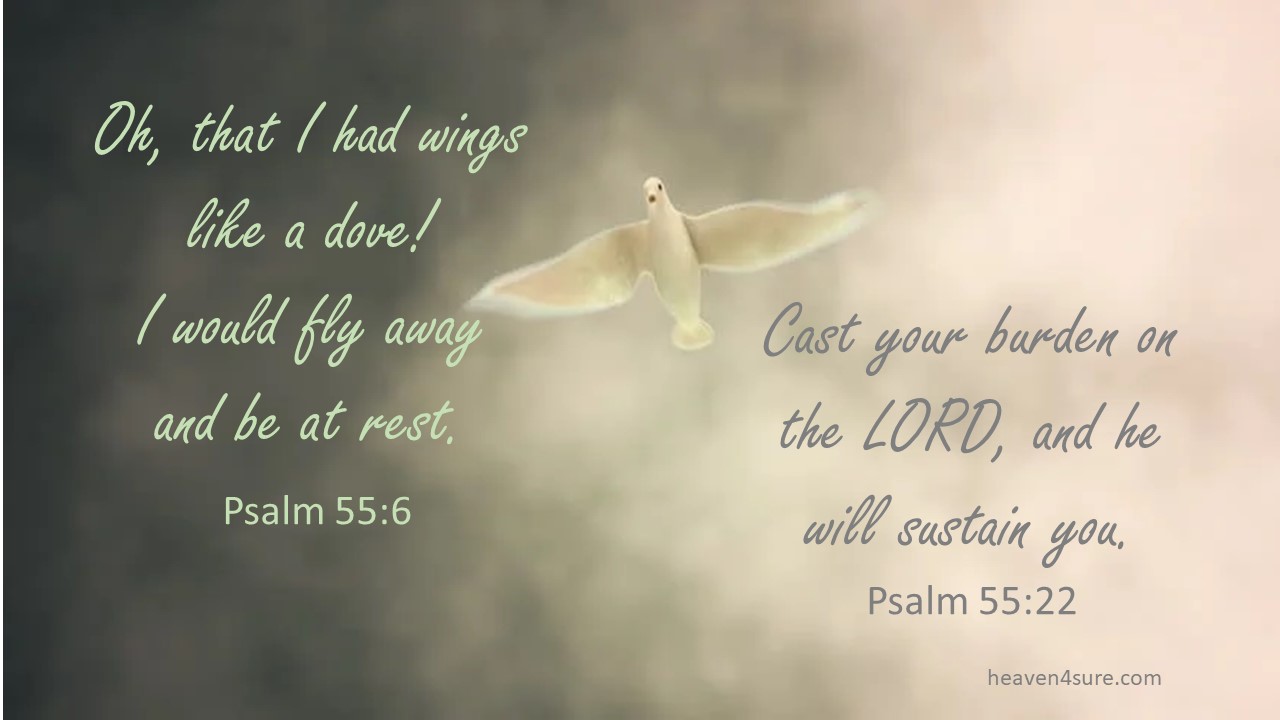 are-you-wanting-wings-to-fly-away-heaven4sure